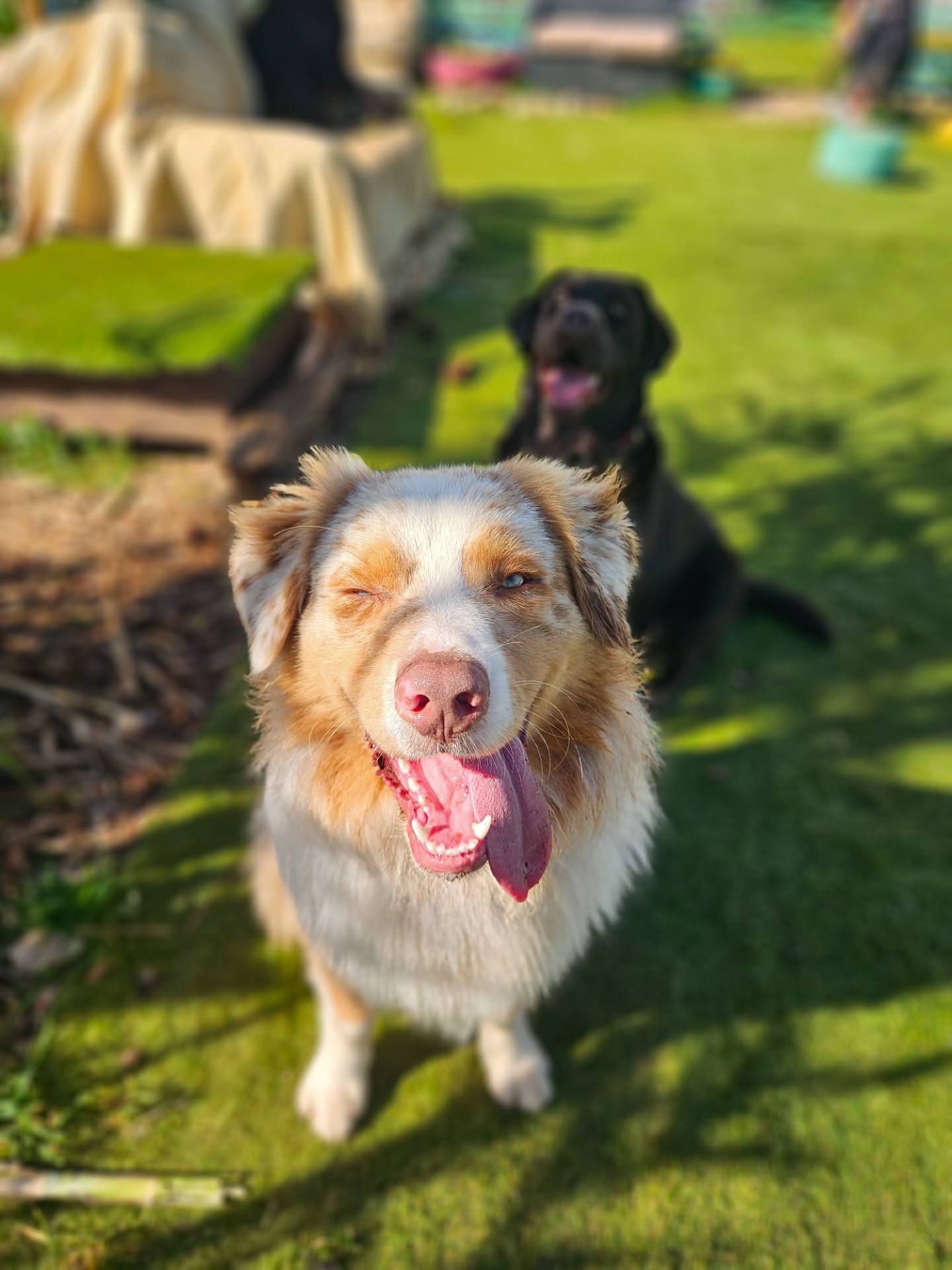 Outdoor play at daycare