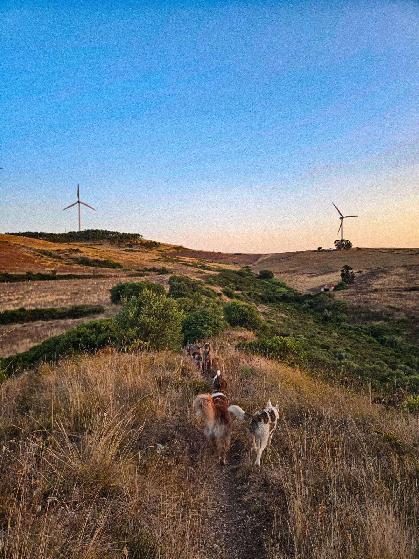 A walk during the 2025 summer camp