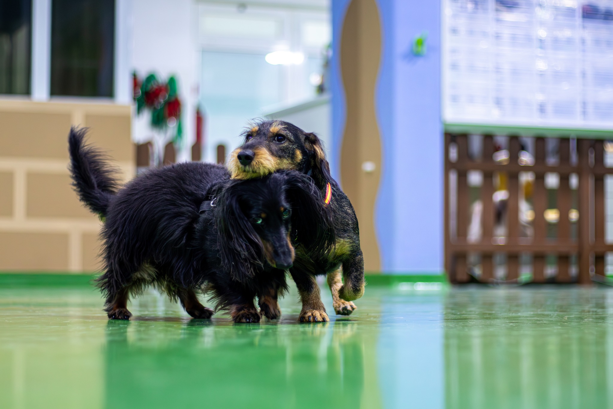 Play in the indoor daycare space