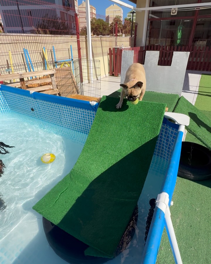 Pool play during the September activities
